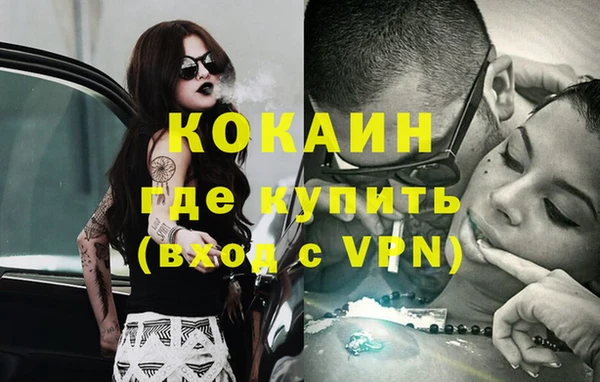 apvp Михайлов
