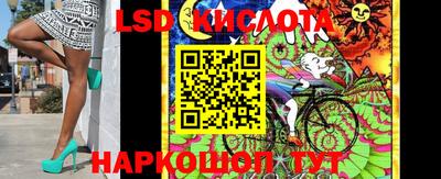 тгк Канаш