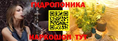 тгк Канаш