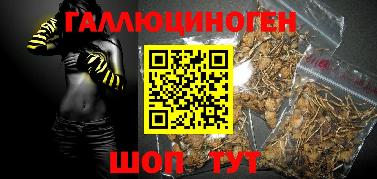 Псилоцибиновые грибы ЛСД  Вход с VPN  Канск 