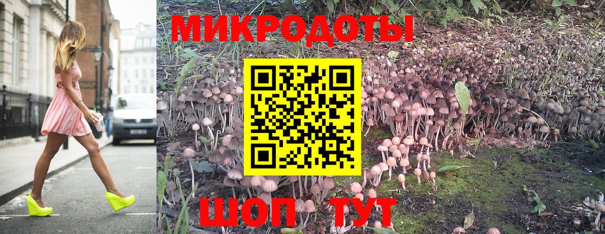 Галлюциногенные грибы мухоморы  где можно купить наркотик  Галлюциногенные грибы мицелий  Канск 